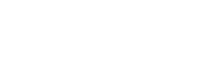 wanderbike logo white